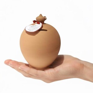 May include: A light brown ceramic piggy bank, egg-shaped, held in a hand against a white background. The bank has a small decorative element on top and a tag attached with a red ribbon.