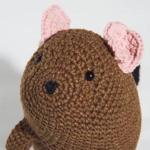 Crochet degu interior doll Pet memorial Loss of pet lover Degu owner gift for rodent lovers plush Pet sympathy gift image 3