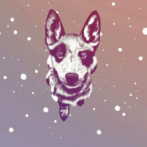 Cattle Dog Portrait
