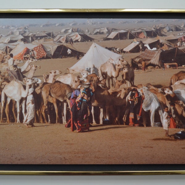 framed picture of a Rashaida encampment in Sudan, scene from bedouin nomadic life in North East Africa, ethnic vintage collection