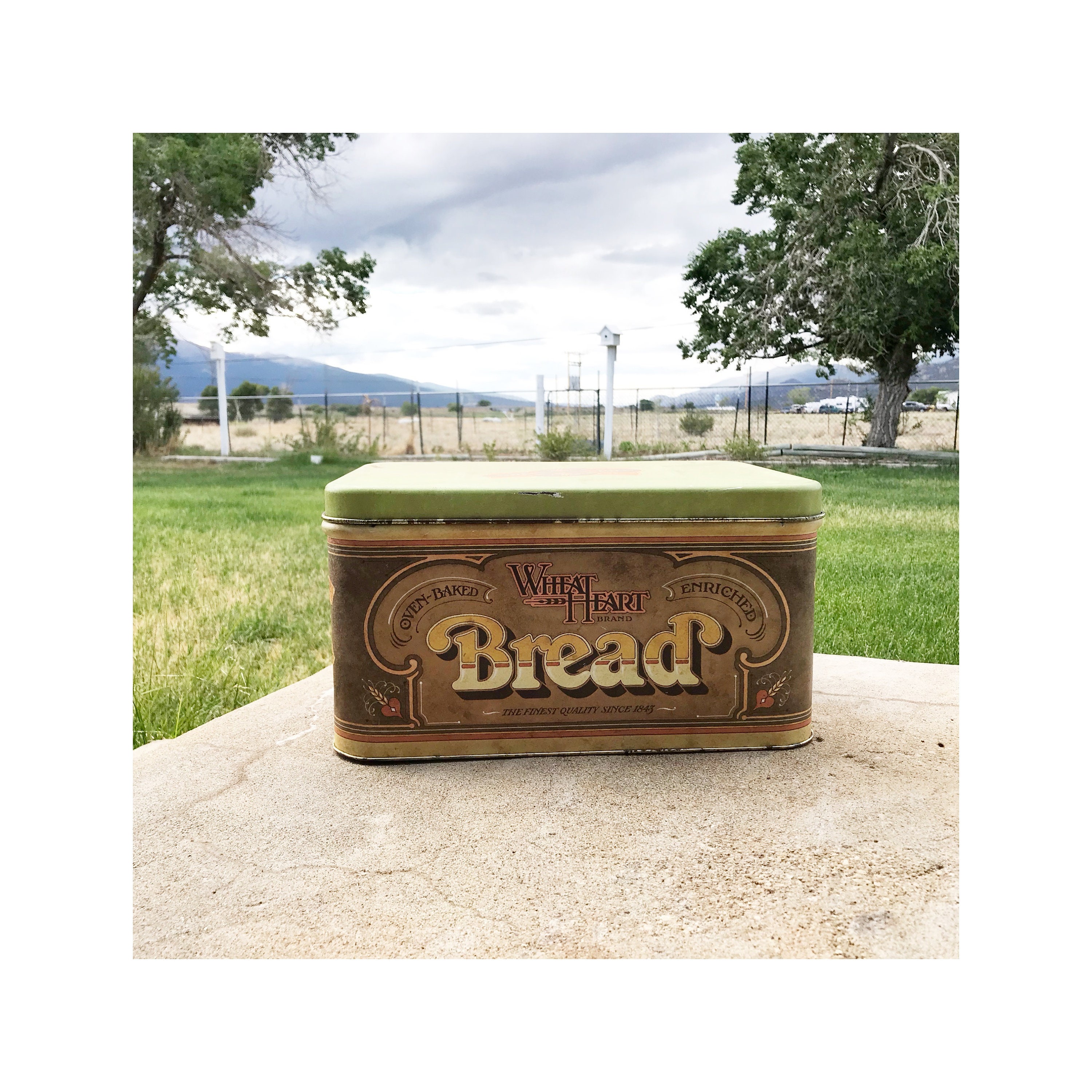 Large Tin Bread Box Wheat Heart Bread Antique Metal Box Etsy