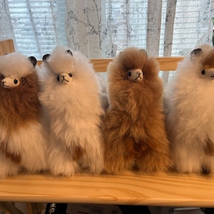 Baby Alpaca Llama  Tan/white tan baby alpaca llama 10 inches tall