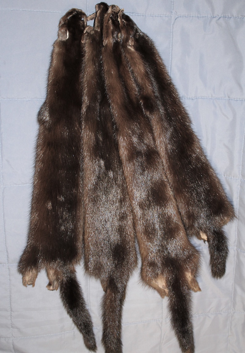 Brown mink pelt Mink fur brown mink fur for needlework Etsy
