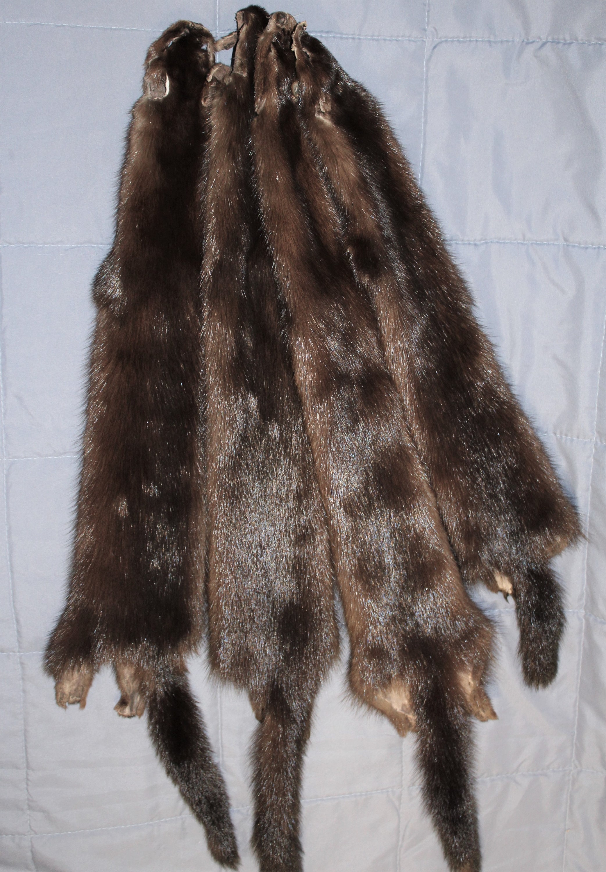 Brown mink pelt Mink fur brown mink fur for needlework Etsy