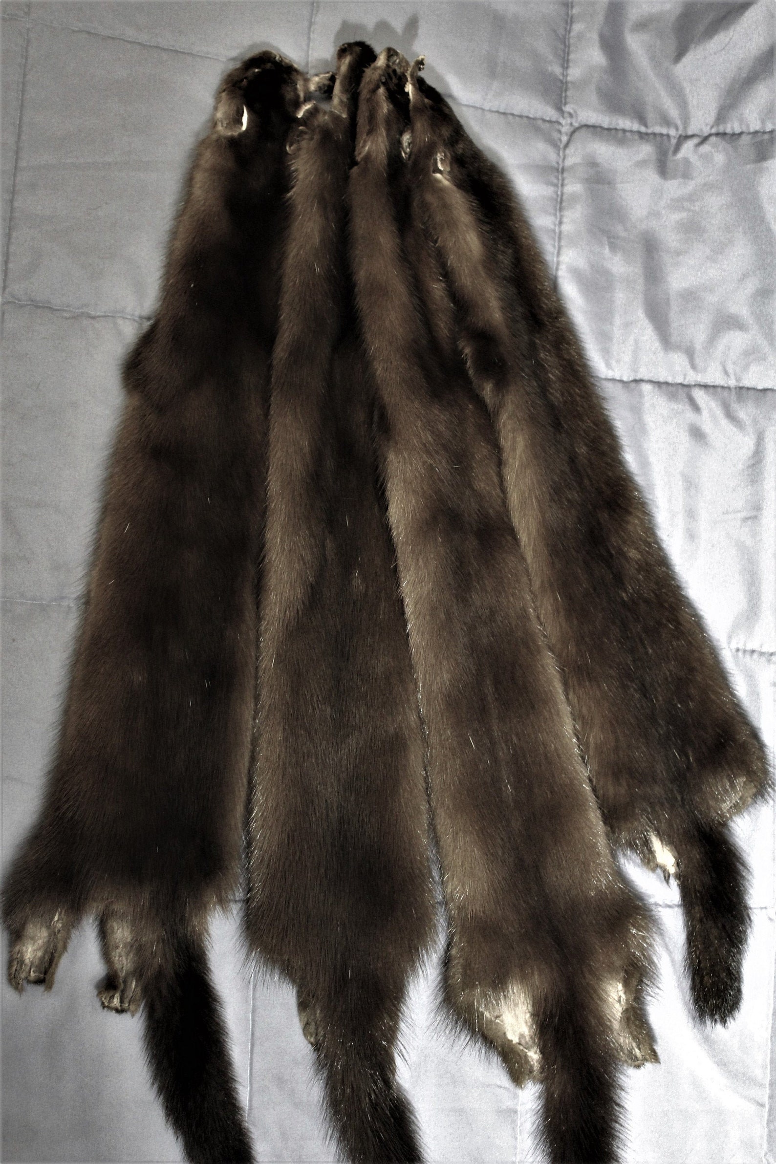 Brown mink pelt Mink fur brown mink fur for needlework Etsy