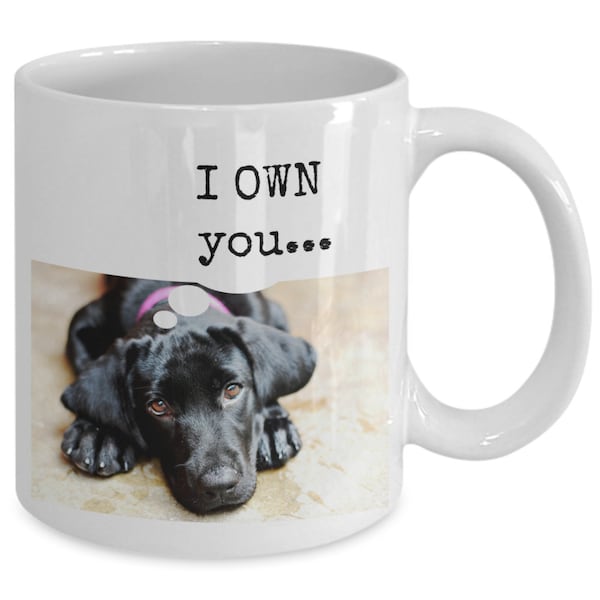 Funny Labrador Retriever mug, I OWN you, coffee mug for black lab lovers and owners, black Labrador gift, Labrador mom or dad coffee mug