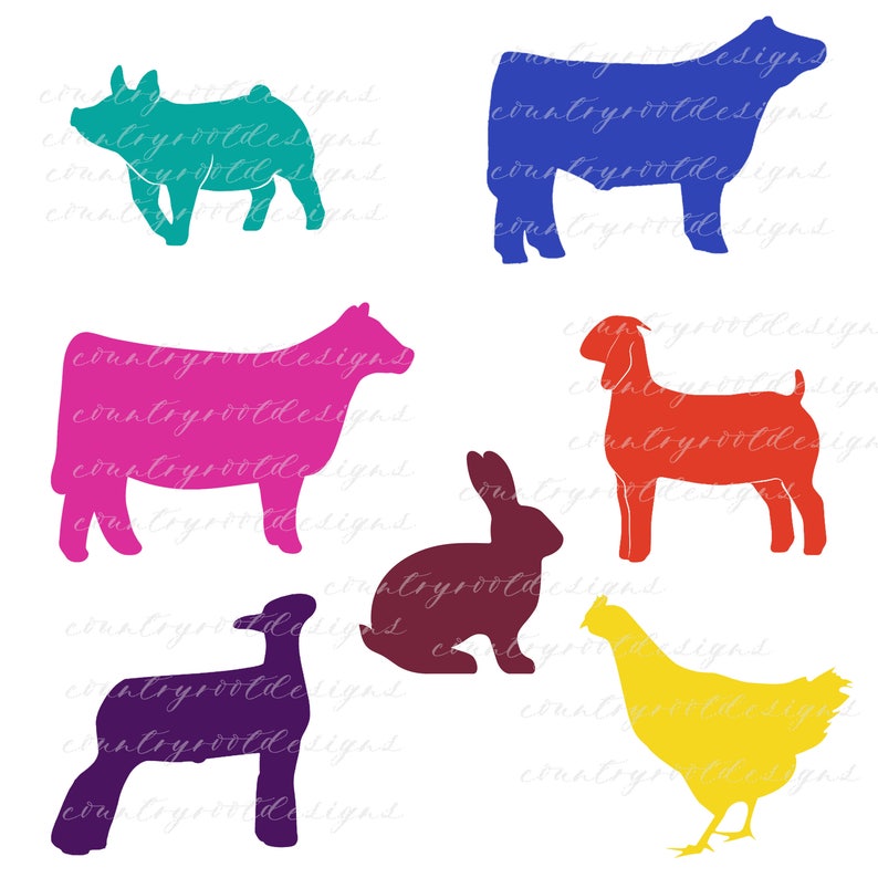 Cactus 4-H Show Lamb Appreciation Card FFA Cards Watercolor Cards Thank You Card Show Pig Show Goat Card Steer Show Steer