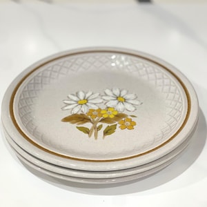 Puede incluir: Una pila de cuatro platos de cerámica con un diseño floral de margaritas. Los platos tienen un fondo beige moteado, un borde marrón y un patrón de diamantes alrededor del borde. El diseño de la margarita presenta pétalos blancos, centros amarillos y hojas verdes.