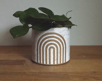 Peut inclure: Pot en céramique blanche avec un motif arc-en-ciel brun. Le pot est rempli d'une plante verte.