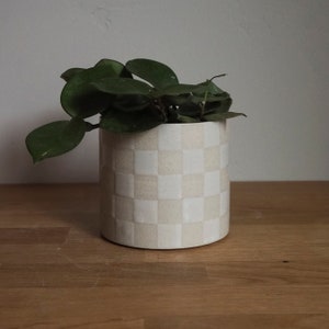 May include: A cylindrical ceramic planter with a checkerboard pattern in off-white and beige holds a green plant with dark green, oval-shaped leaves. The planter sits on a wooden surface, creating a neutral and natural aesthetic.