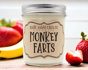 Monkey Farts Scented Soy Wax Candle Handmade Clean Burning 3-Sizes W-Box: Friend Gifts, Funny
