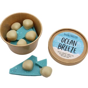 Peut inclure: Un ensemble de six galets de cire de soja en forme de coquillages, emballés dans un gobelet en papier brun. Les galets de cire sont étiquetés "Ocean Breeze" et sont fabriqués dans l'Utah.
