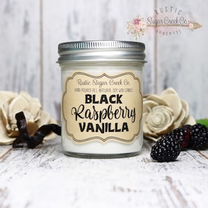 Black Raspberry Vanilla Scented Soy Wax Candle Handmade Clean Burning 3-Sizes With Gift Box