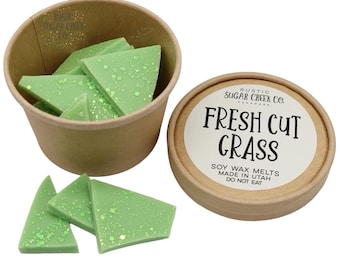 Fresh Cut Grass Snap Bars Scented Brittle Wax Melts For Warmer Gifts For Women Summer Melts Wax Warmer Melts Grass Wax Melts For Gifts