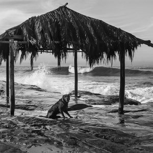 Bernie vid Windansea Shack -- 1970-talets La Jolla surfkulturfoton -- 18x24 arkivtryck av surfkultur