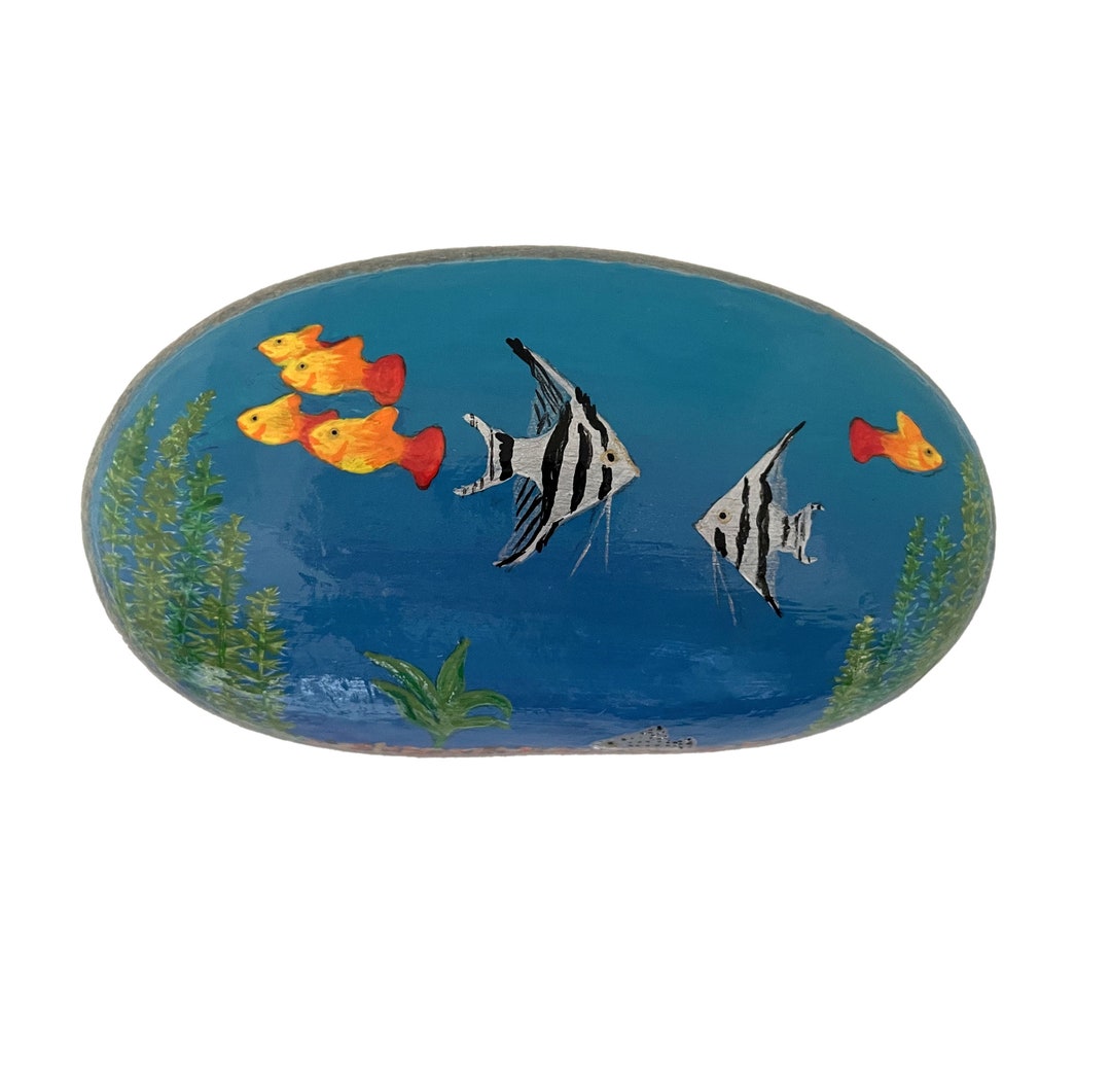 Aquarium With Fish Painted Rock Angel Fish Painted Rock - Etsy