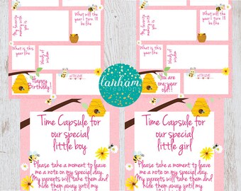 Bee Party, Daisy Party, Bees and Daisies Birthday, Beekeeper, Party Invite, First Birthday, Time Capsule, Birthday Girl, Bees and Flowers