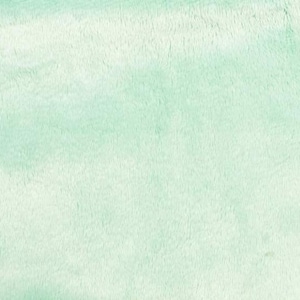 Minky Smooth Soft Solid Plush Faux Fake Fur Fabric Polyester- Sold by Yard. Icy Mint