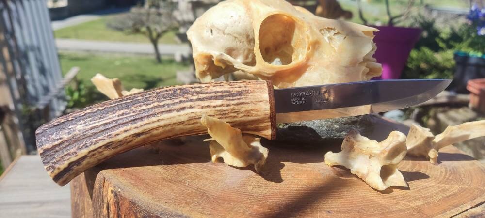 Couteau en Bois de Cerf Savoie, Lame Morakniv Carbone Polie, Garde Rondelle Cuir.