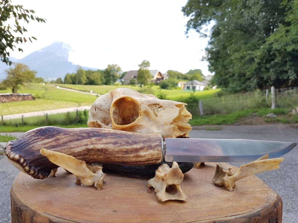 Poignard Manche en Meule de Bois Cerf Trouv? Savoie, Lame Suédoise Carbone Polie Marque Morakniv, Ga