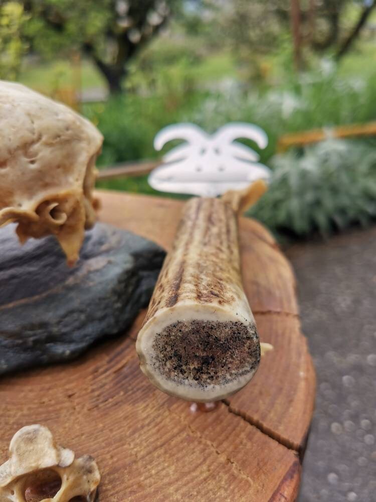 Coupe fromage à raclette tête de chèvre inox Finland bois de Etsy