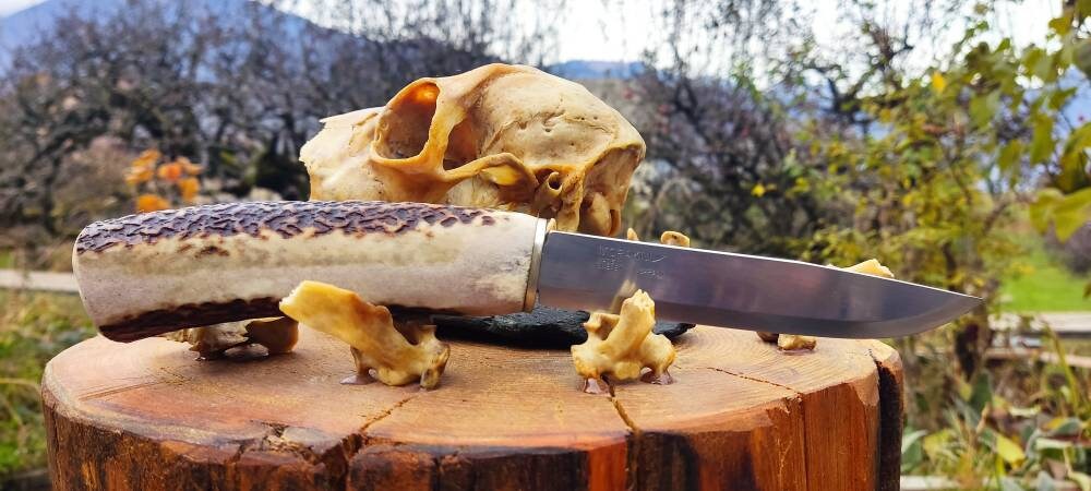 Couteau Xxl Manche en Bois de Cerf Trouv? Savoie, Lame Suédoise Carbone Polie Marque Morakniv, Garde