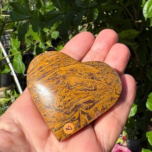 May include: A heart-shaped stone with a brown and yellow patterned design. The stone is held in a hand, with a sticker that has the number 4 on it. The background includes green leaves and pink flowers.