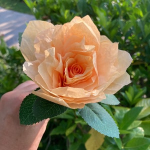 Apricot roses ~ handmade paper roses Qty 6