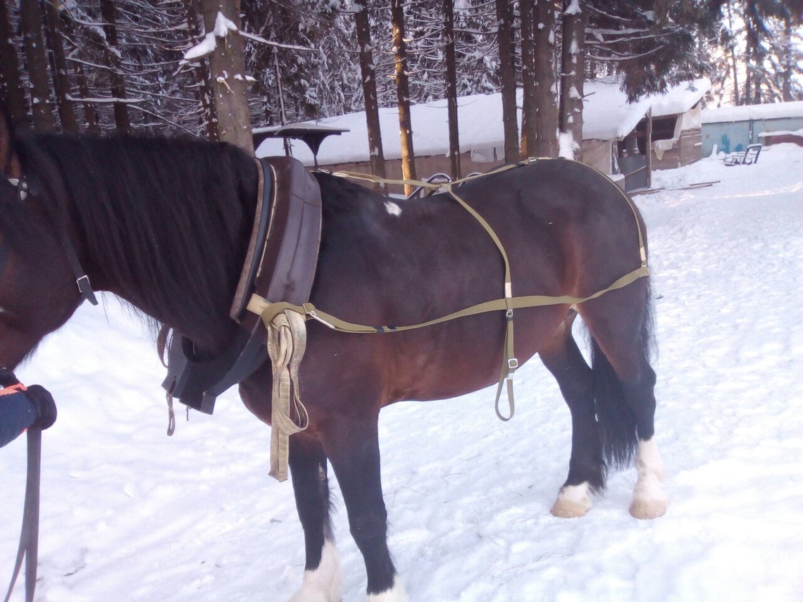 Set Horse Harness Horse Yoke Horse Collar Horse Collar Etsy
