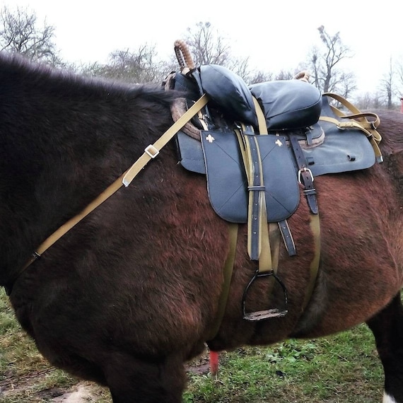 Come Sellare Un Cavallo Per La Prima Volta