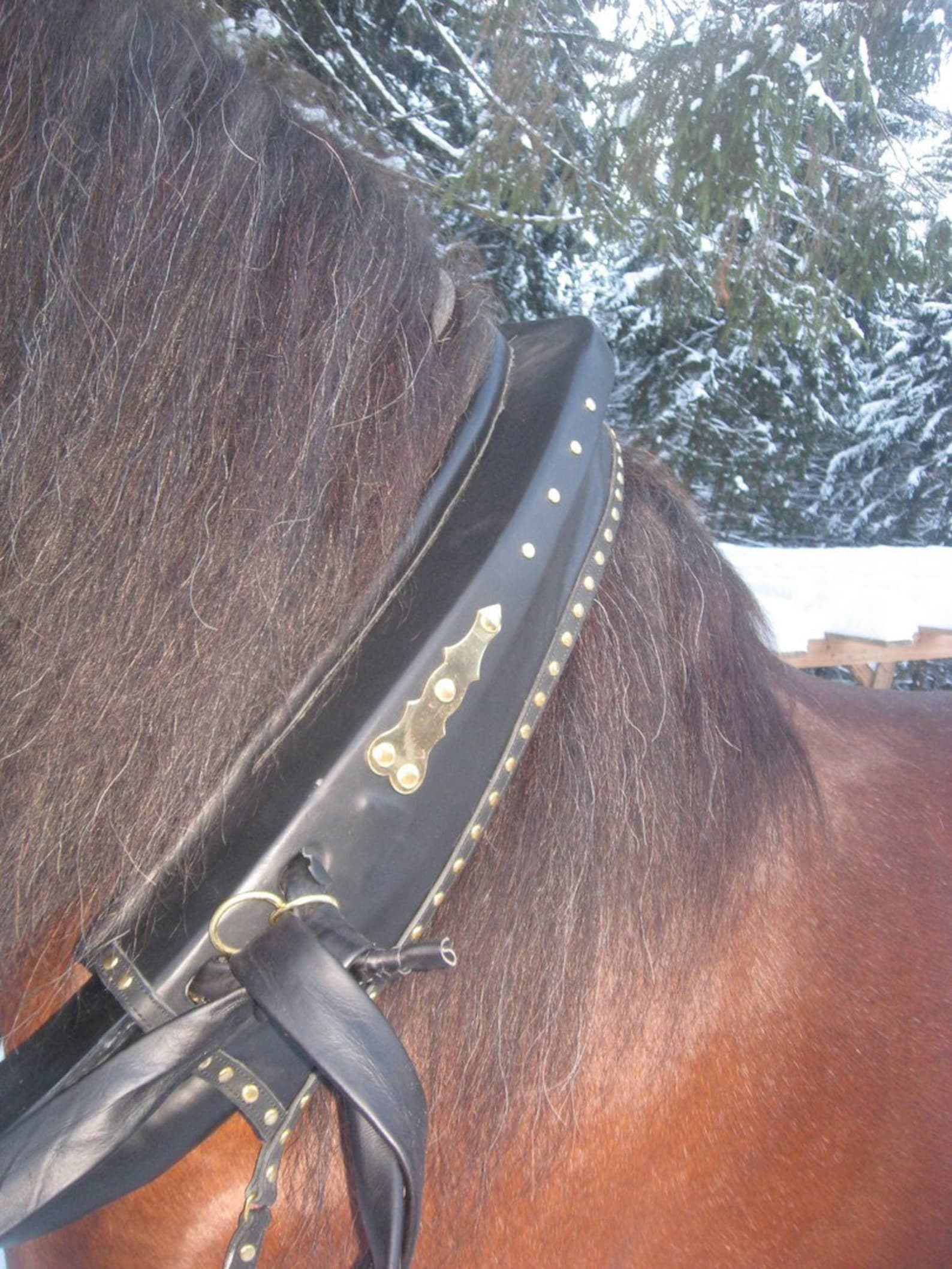 Horse Yoke Horse Collar Black Leather Horse Harness Horse Etsy