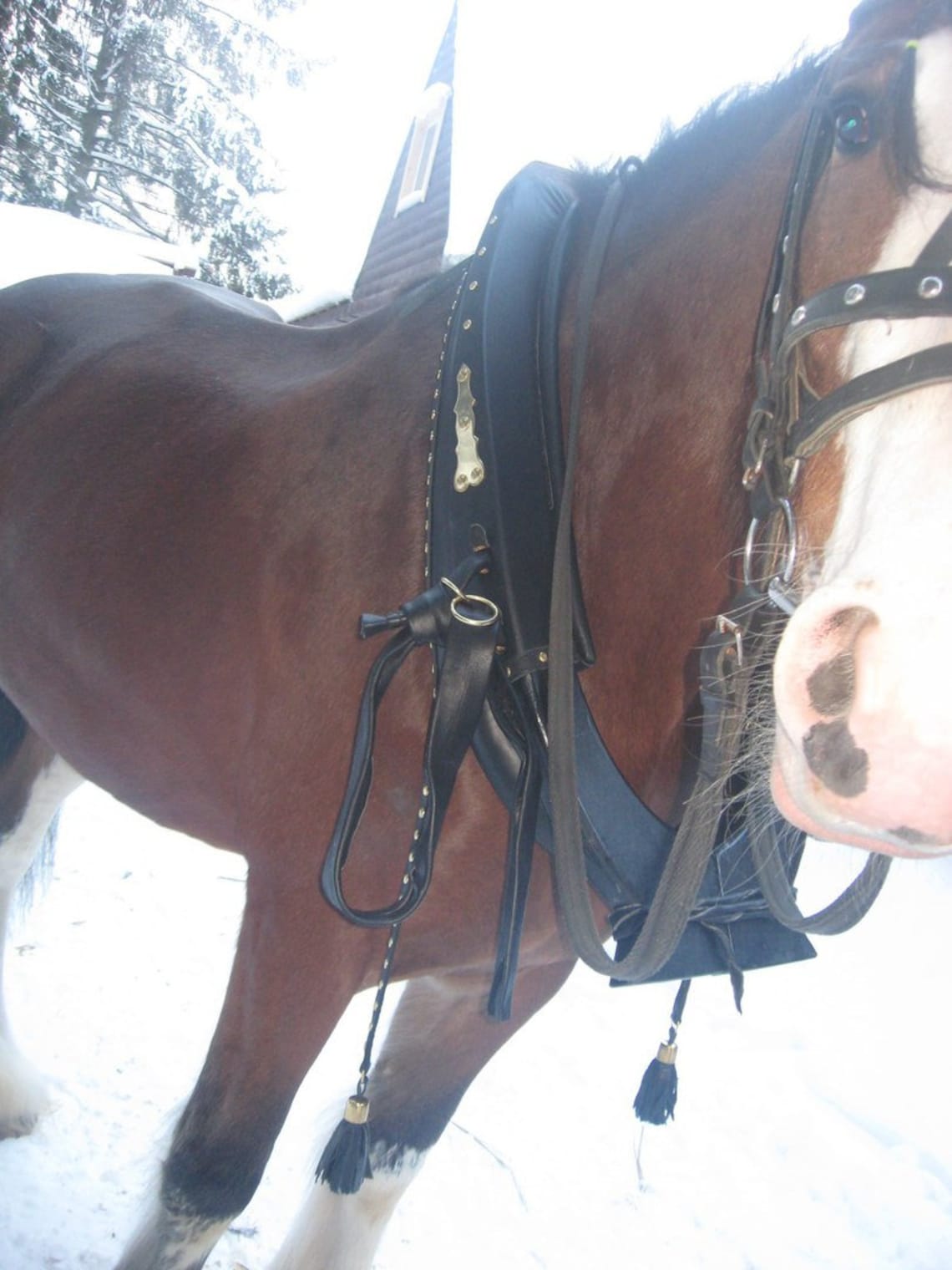 Horse Yoke Horse Collar Black Leather Horse Harness Horse Etsy