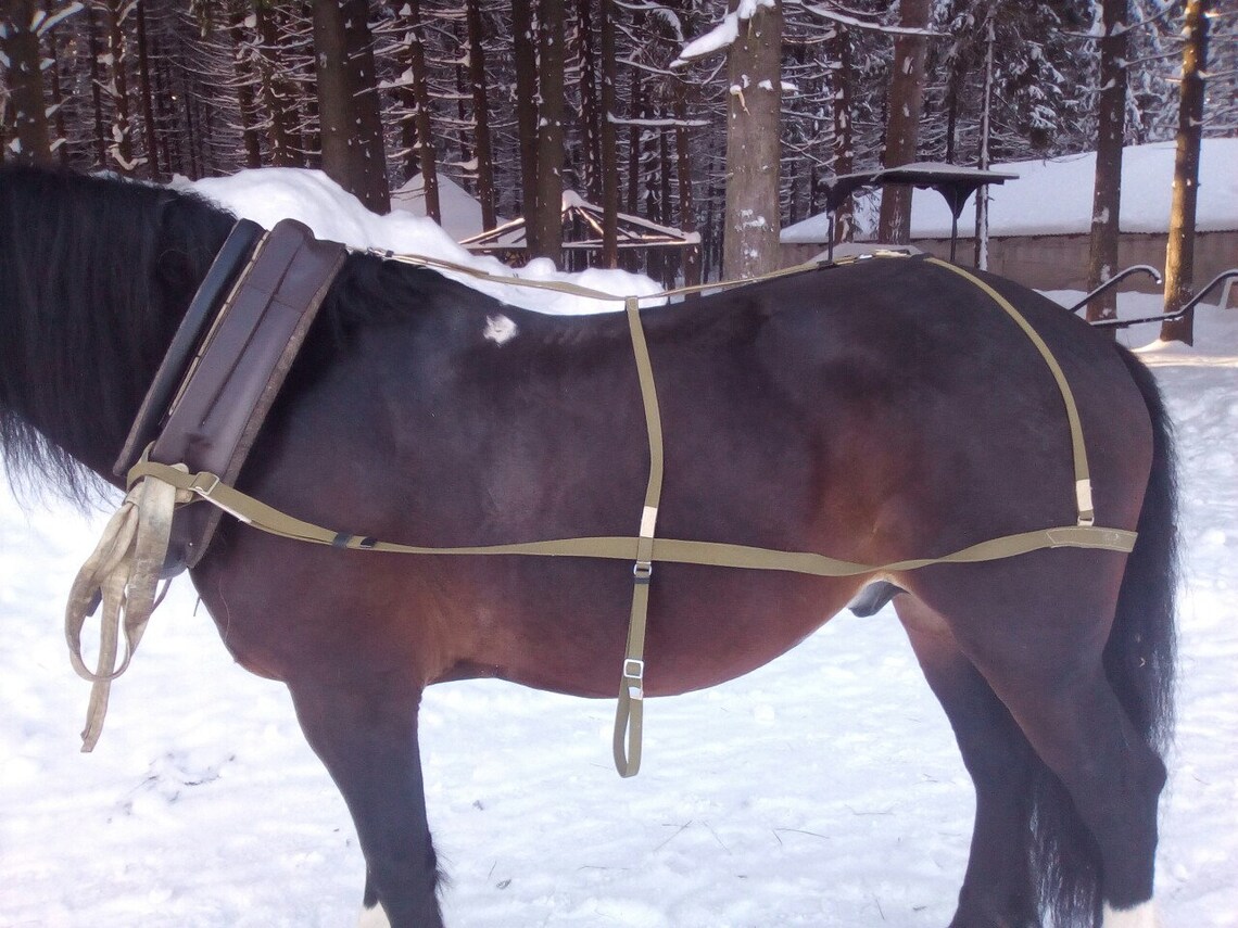 Set Horse Harness Horse Yoke Horse Collar Horse Collar Etsy