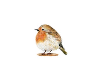 Round Robin Postcard