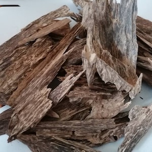 Perak agarwood Border of south Thailand and Malaysia..