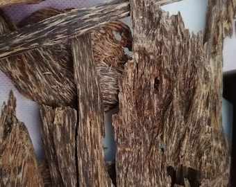 Wild Malaysian agarwood