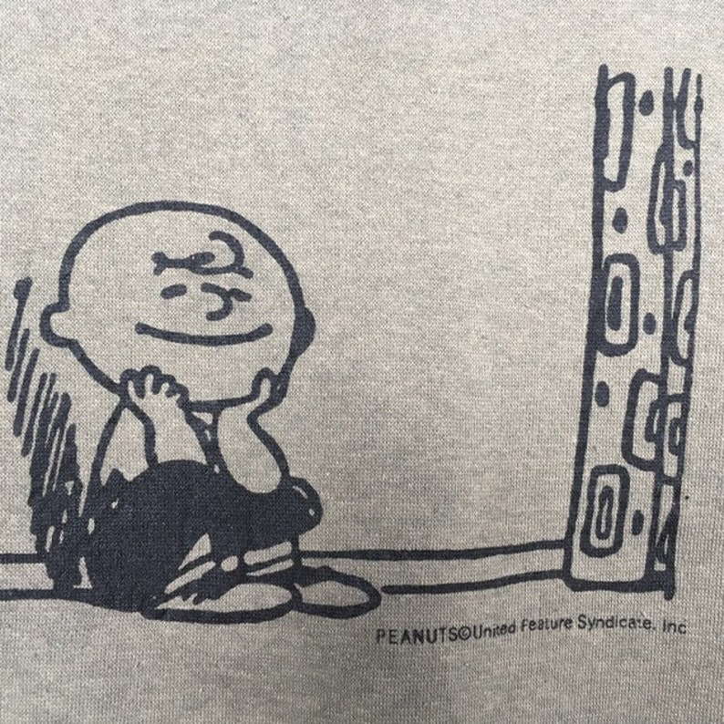 Vintage PEANUTS Sweatshirt Big Image Logo Woodstock 90s Sweatshirt Cartoon Anime Series