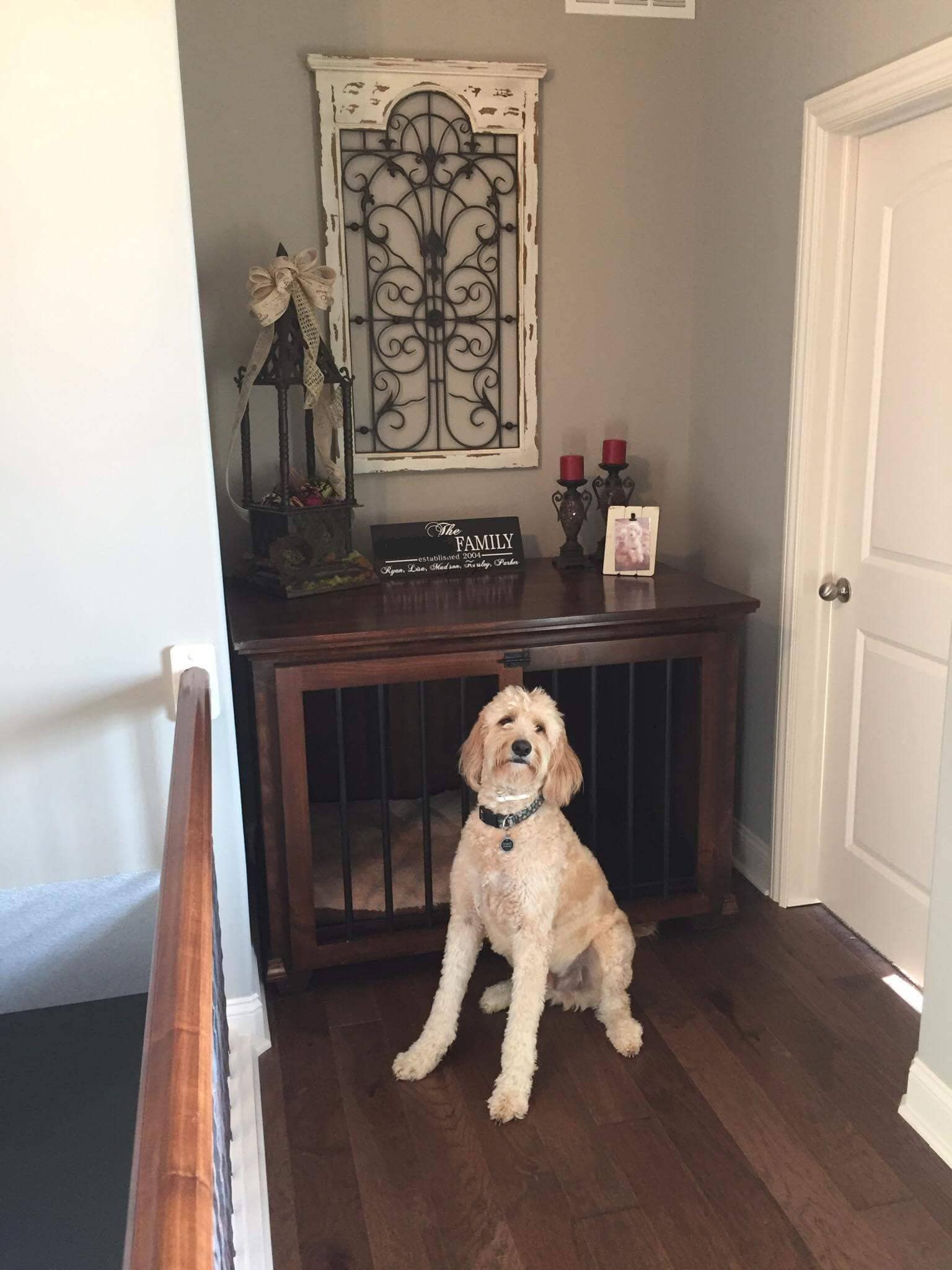 entryway dog bed