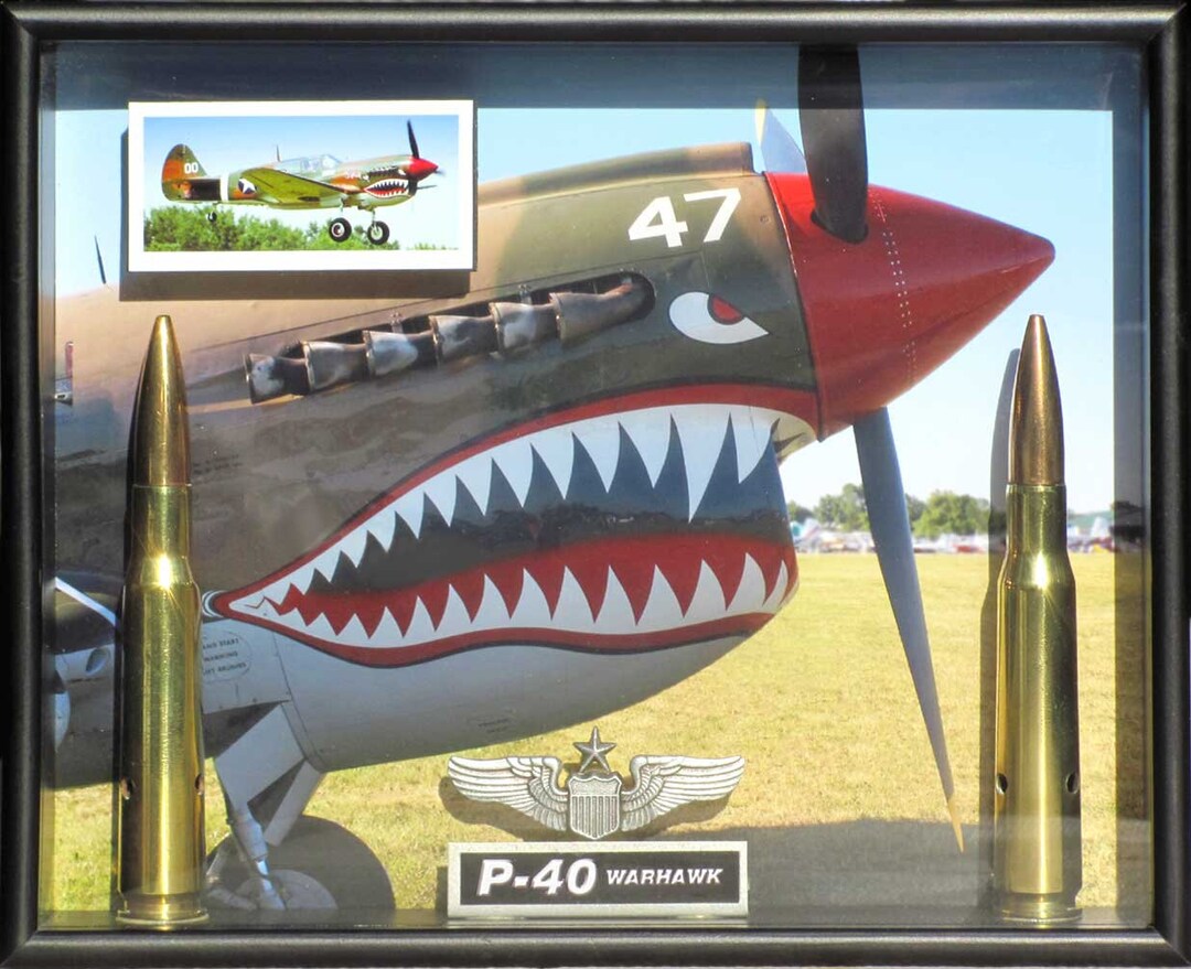 P-40 Warhawk Aviation Nose Art Shadow Box. for Military Decor