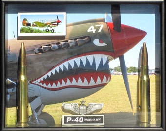 P-40 Warhawk aviation nose art shadow box. For Military decor, Aviation gift