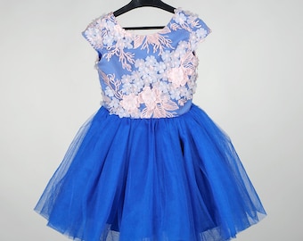 Blumenmädchen Kleid Kleinkind, Mädchen Festzug Kleid, Royal Blau Tüll Tutu Kleid, Geburtstag Kleid, Baby-Dusche-Geschenk