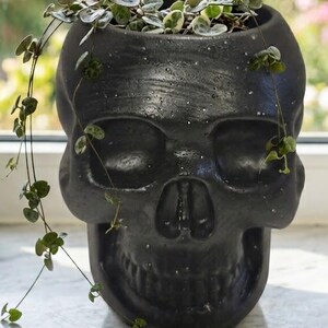 Black Skull Planter: Cement Succulent Pot, Gothic Decor