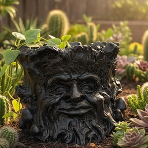 Old Man Tree Face Planter: Distressed Concrete Succulent Pot