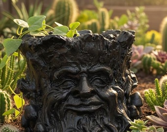 Old Man Tree Face Planter: Distressed Concrete Succulent Pot