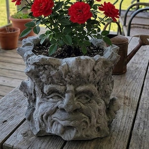 Old Man Tree Face Head Planter Pot for Cacti Succulents Bonsai Herbs Candle Holder