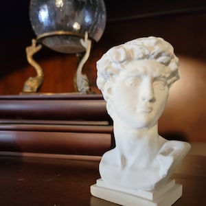 David bust planter on a wooden surface with a glass orb and books, indoor setting.