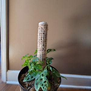 Moss pole, white mesh, 2&quot; diameter stackable staked moss pole -Humidifies, support climbing, aroid, ivy, pothos, monstera, hoya