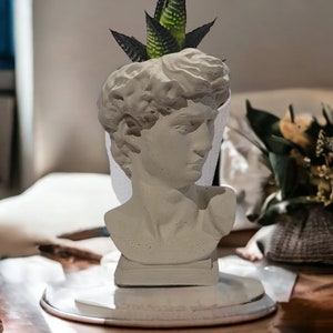 David Bust Concrete Planter – Indoor Decor 4.5 inch tall