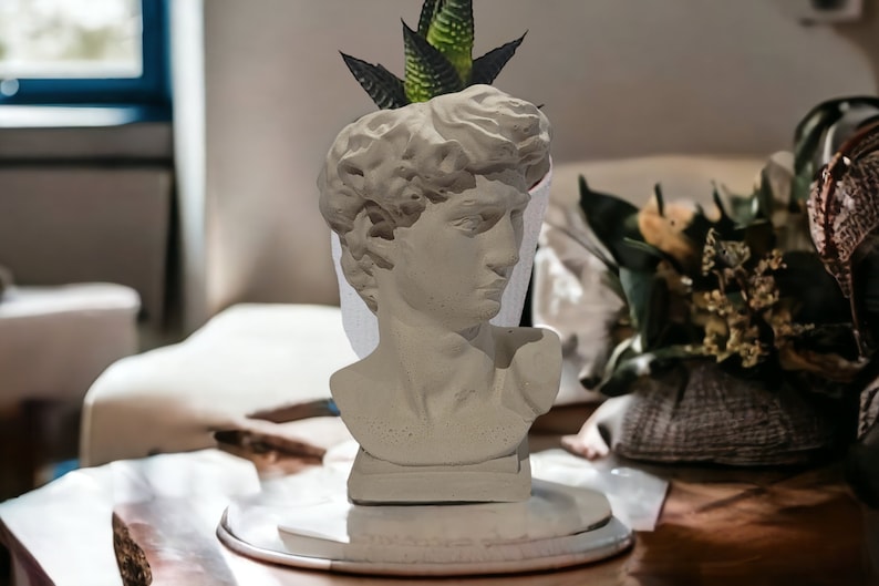 David bust concrete planter with a succulent inside, on a table with other decor (plants, vase), indoor setting. Mother day gift idea present for abstract face vase.