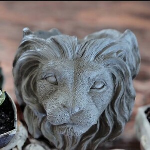 Judah Lion Concrete Planter - Handmade Lion Head Pot- 4th July sale